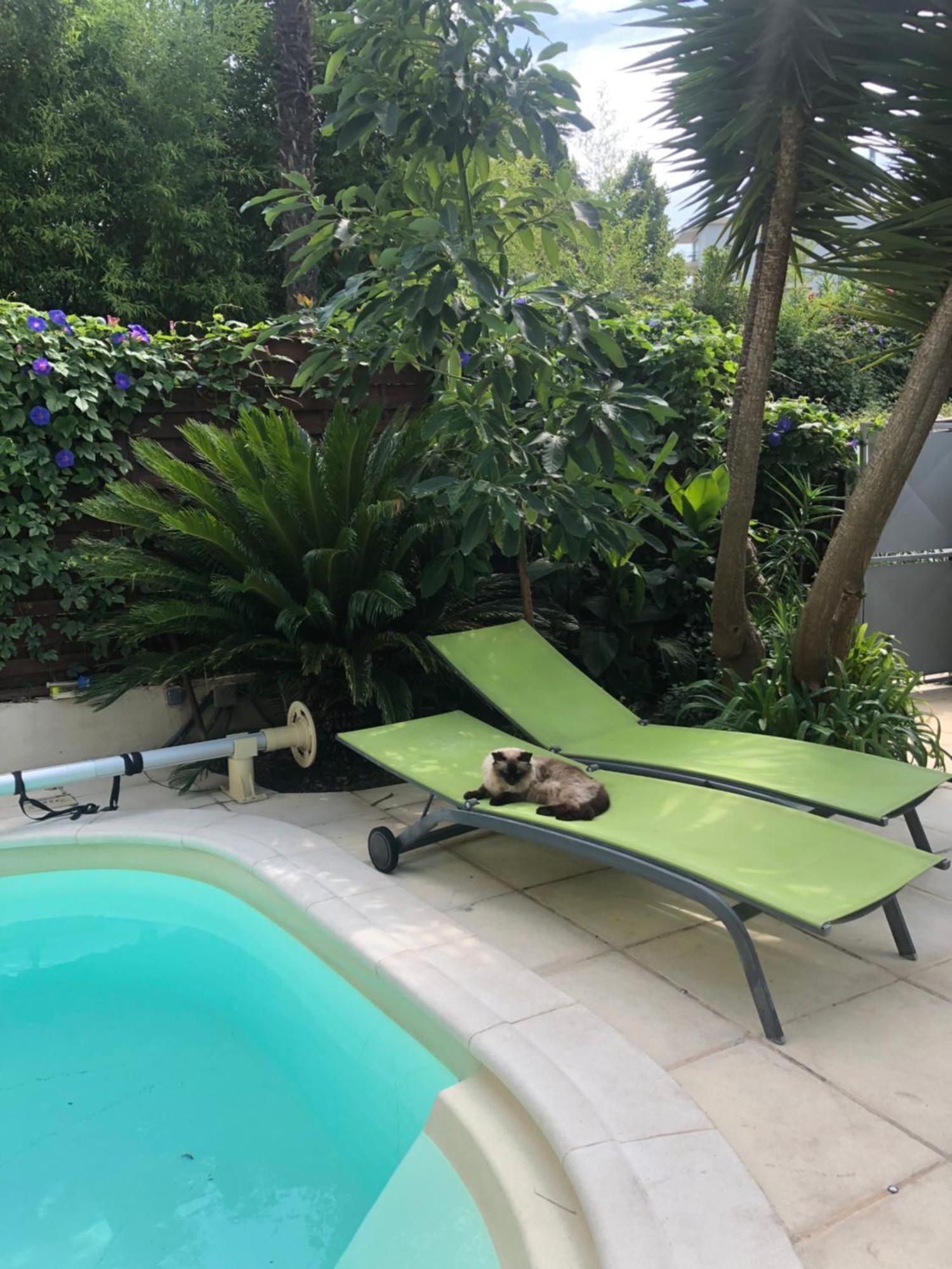 Villa Beausejour 칸느 외부 사진